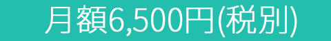 月額6,500円(税別)